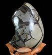 Septarian Dragon Egg Geode - Black Crystals #71988-3